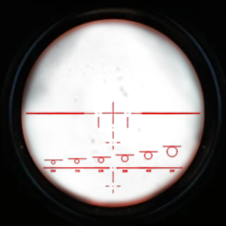 Alternate scoped view.