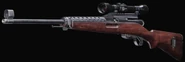24.9" Tiger Team