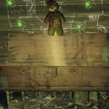 teddy bear mystery box