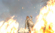 Roach's last view of Shepherd as he burns in the fire.