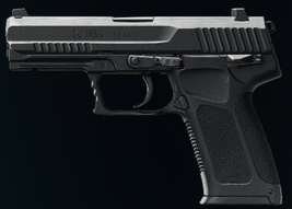GS45 Gunsmith BO6