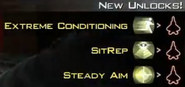 SitRep was originally planned to appear in Survival mode, as seen in this image, but it is later cut.