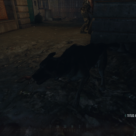 Dog Animal Call Of Duty Wiki Fandom