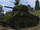 M4 Sherman