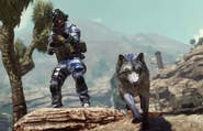 One of the wolves with the player.