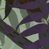 Old Growth Camouflage BOCW.png