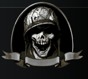 call of duty 7 veteran