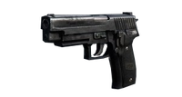 P226