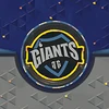 Giants Camouflage BO3