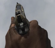 Renetti Held MW2019.png (200 KB) The Renetti in first person