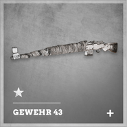 Promo of the Gewehr 43 - Chiller variant