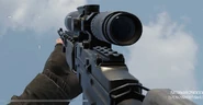 The M21 EBR in first person