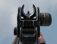 Aiming down the sights