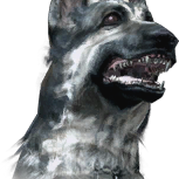 call of duty wiki fandom