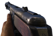 The PPSh-41 in first person.