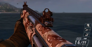 Choco camouflage on the KSG.