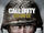 Call of Duty: WWII