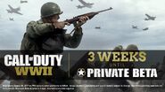 Private Beta 3 Weeks Promo WWII