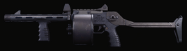 Streetsweeper Gunsmith Model BOCW