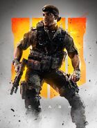 Crash Artwork BO4