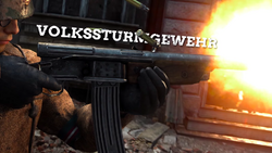 Volkssturmgewehr, Call of Duty Wiki