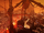 Scorch