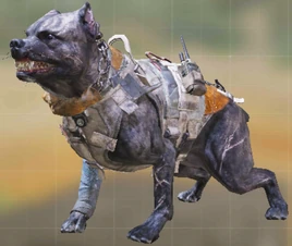 K9 Unit model CoDMobile