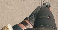 Aiming with the Marine SP.