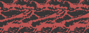 Red Tiger Camouflage | Call of Duty Wiki | Fandom