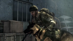 Call of Duty: Ghosts dog Riley takes commands through headset - Polygon