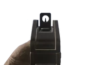 Aiming down the sights