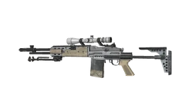 M14 EBR model mw3