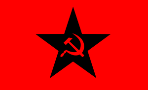 Ultranationalistflag.svg