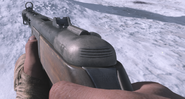 The PPSh-41 in first person.