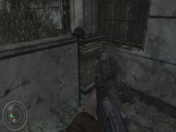 Shot546345636.jpg