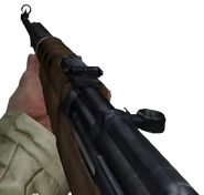 First-person view of the SVT-40