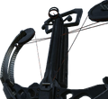 Crossbow Pickup Animation BOII.png (947 KB) Picking up the Crossbow