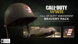 Call of Duty®: WWII - Call of Duty™ Endowment Bravery Pack on Steam