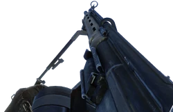 HK21 with Extended Mags