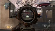 ACOG Scope with Paladin