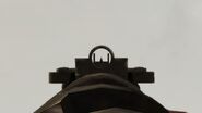 Iron Sights.