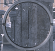 Aiming down the scope.