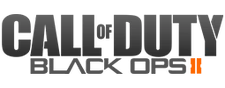 Call of Duty: Black Ops 2 (13 KB)
