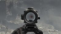Killing birds.jpg