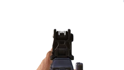 Aiming down the sights