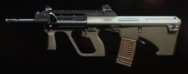 STB 556 Gunsmith MWII