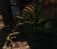 A Yellow-Green Harvest Pod in Shadows of Evil