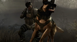 Call of Duty: Ghosts dog Riley takes commands through headset - Polygon
