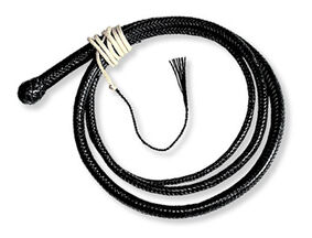 Snake Whip.jpg