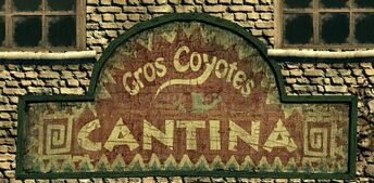 Gros coyotes.jpg